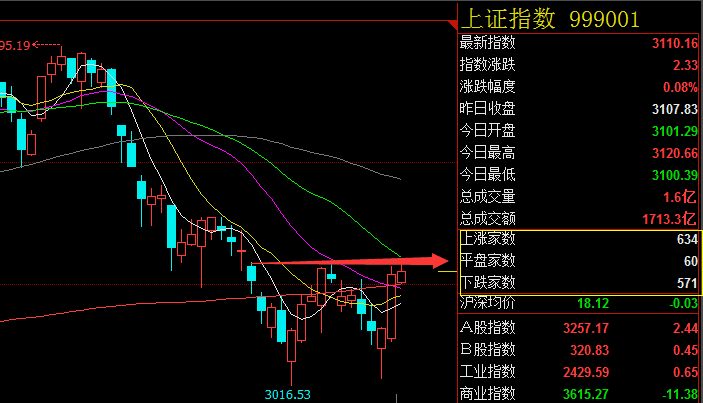 政策 股票,政策春風(fēng)與股市行囊，一場(chǎng)心靈與自然的旅行